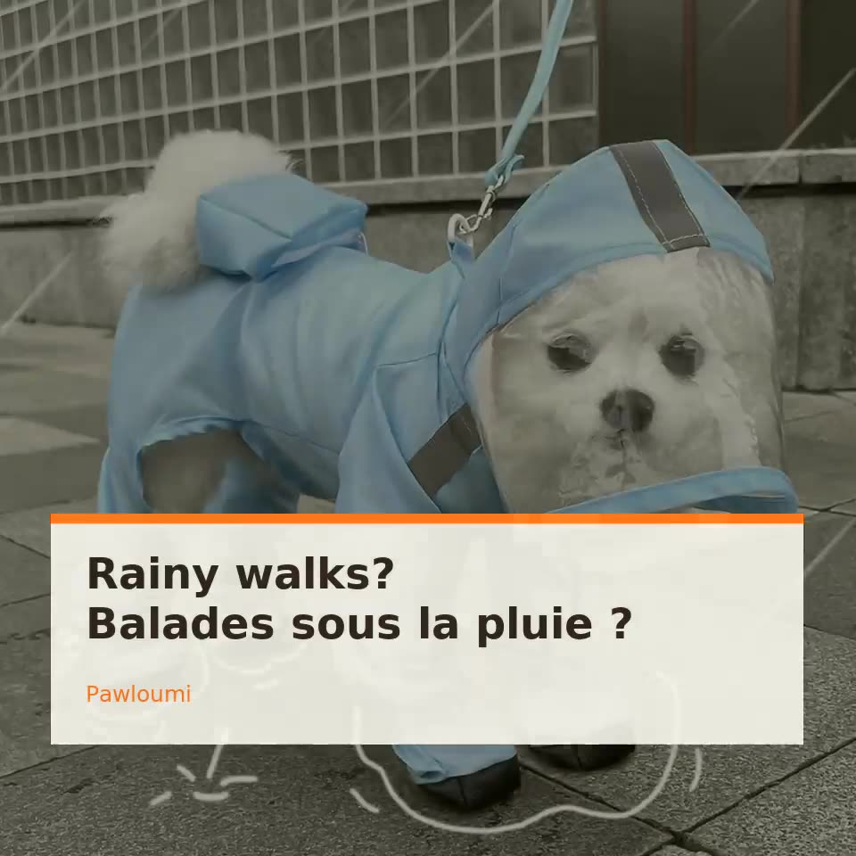 RainGuard Raincoat animated product video